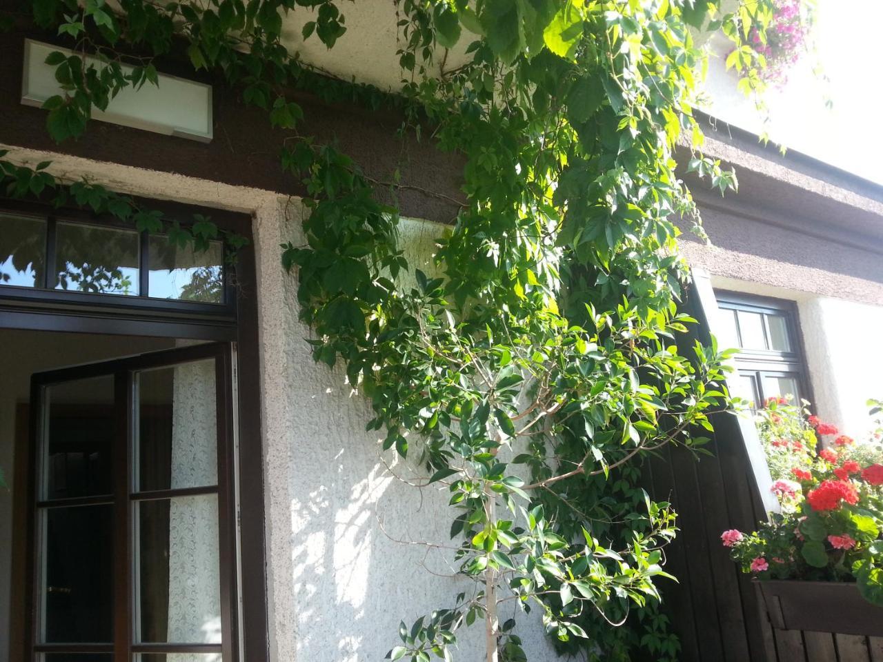 Antik Hotel Sofia Litomysl Bagian luar foto
