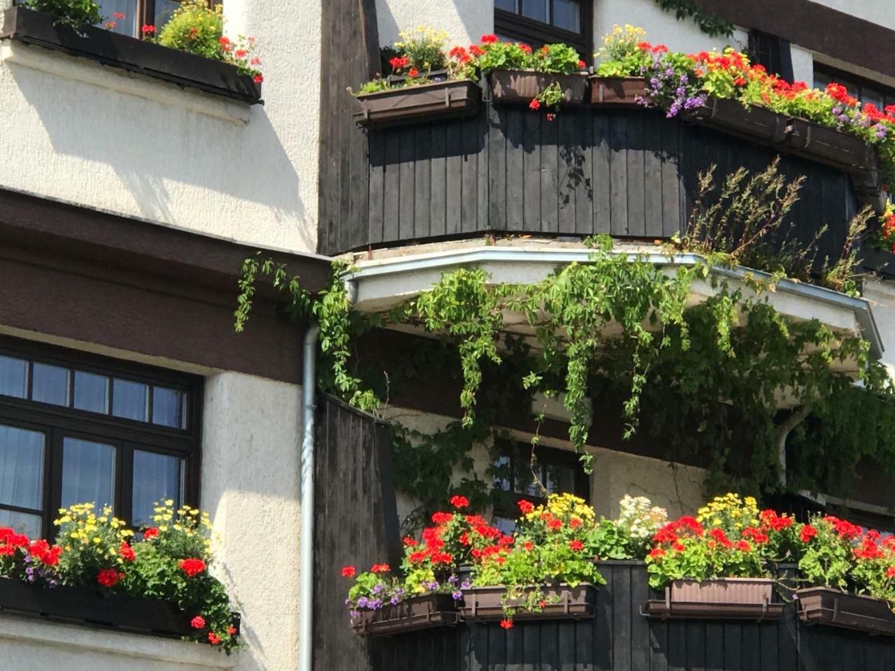 Antik Hotel Sofia Litomysl Bagian luar foto